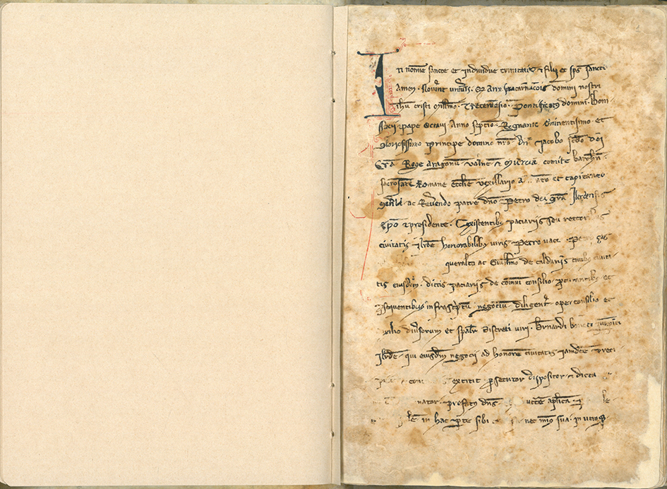 CAT-ACL-LC_0064 (foli1)