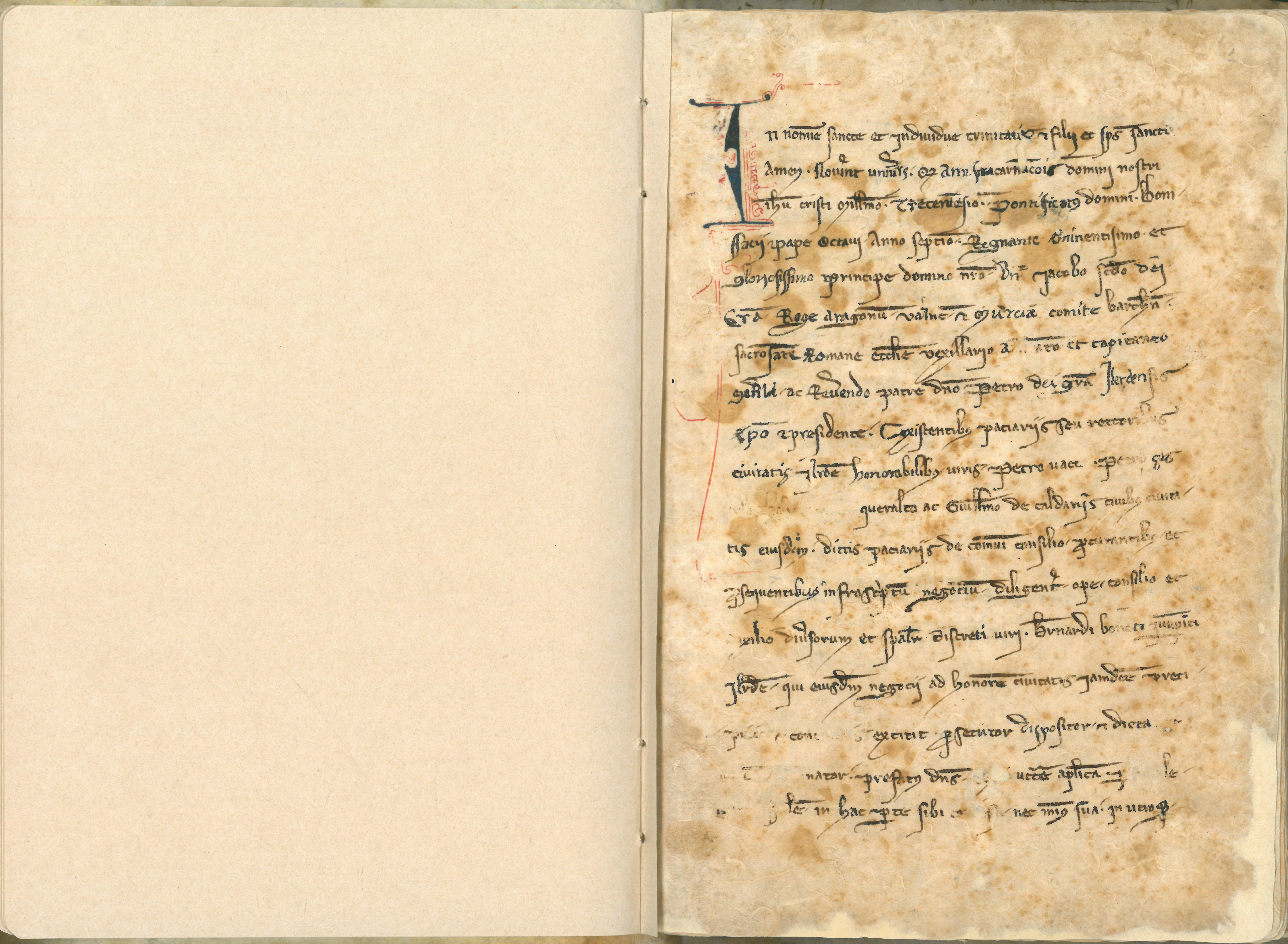 CAT-ACL-LC_0064 (foli1)
